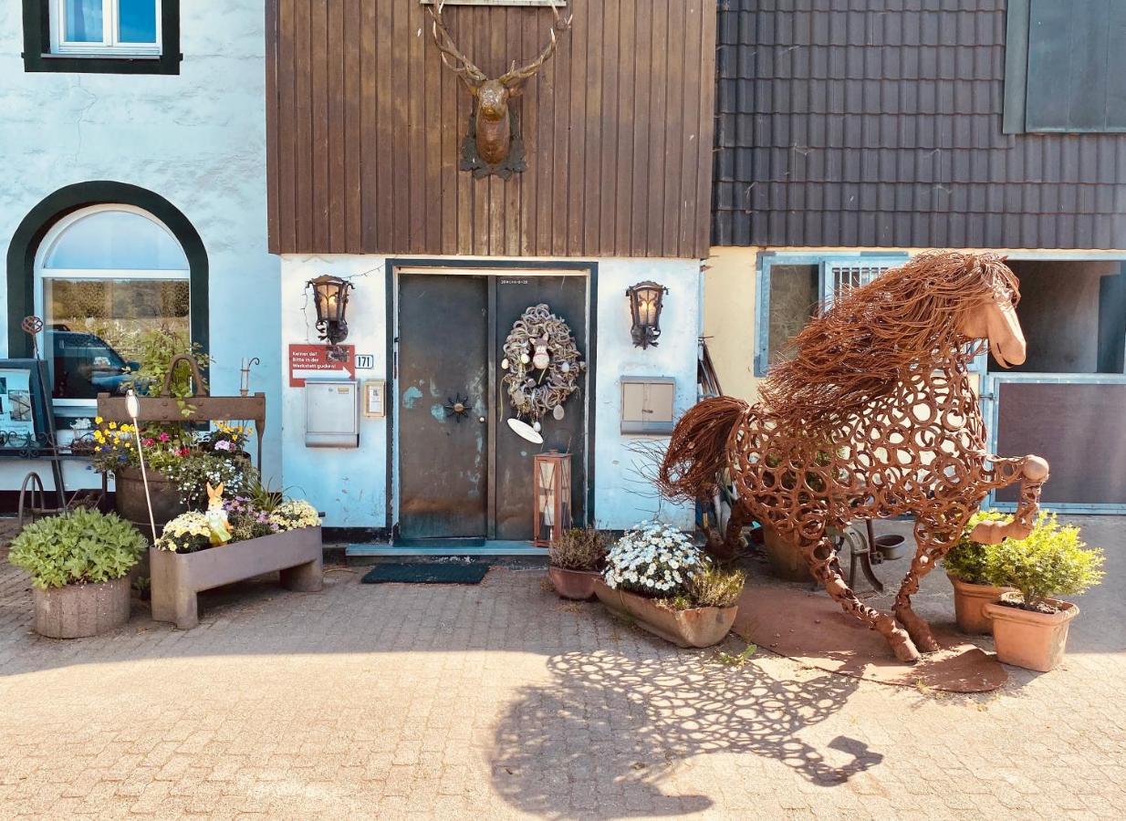 Hof Vierzehnender Im Hohen Venn - 70Qm Maisonette - 2 Schlafzimmer - Wohnkueche - Balkon Mit Grill - Monschau - Eifel - Hunde Willkommen - Islandpferde Екстериор снимка