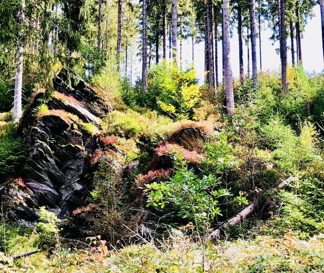 Hof Vierzehnender Im Hohen Venn - 70Qm Maisonette - 2 Schlafzimmer - Wohnkueche - Balkon Mit Grill - Monschau - Eifel - Hunde Willkommen - Islandpferde Екстериор снимка