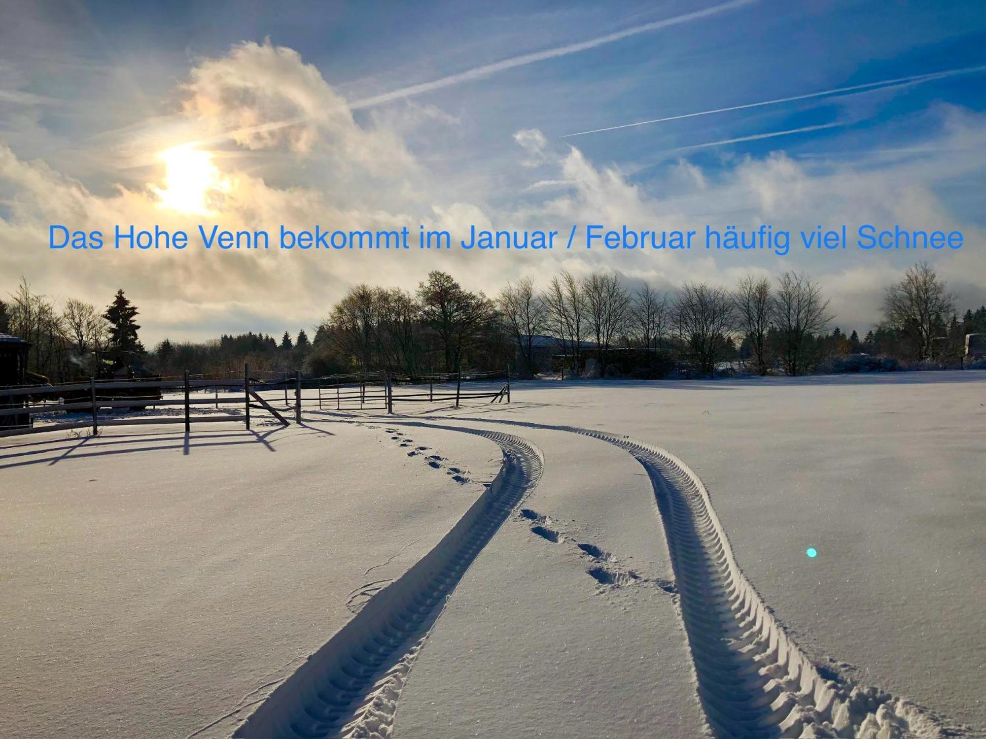 Hof Vierzehnender Im Hohen Venn - 70Qm Maisonette - 2 Schlafzimmer - Wohnkueche - Balkon Mit Grill - Monschau - Eifel - Hunde Willkommen - Islandpferde Екстериор снимка